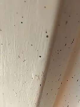 camila picante online show from April 2026 02:47:02 PM