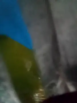 camila picante online show from April 2026 04:34:02 PM