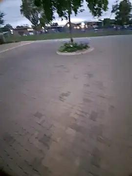 Petrossa online show from January 2026 03:10:01 AM