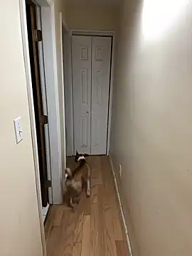 DaddySnowXX online show from December 2024 11:33:02 AM