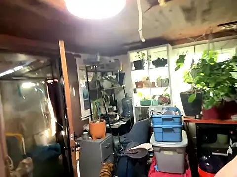 Snapshot of trash4cash chatting on January 2026 10:04:02 PM trash4cash online show from January 2026 10:04:02 PM