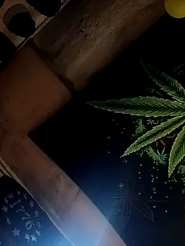 Snapshot of ySqmbVanbe chatting on October 2025 02:41:01 PM ySqmbVanbe online show from October 2025 02:41:01 PM