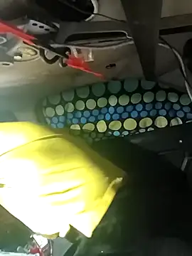 FloppyPickle4u online show from March 2026 03:36:01 AM