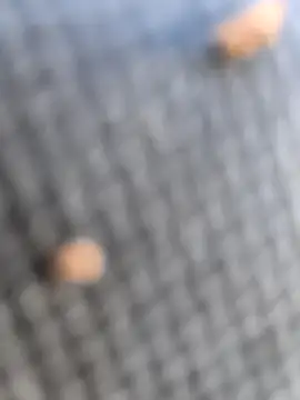 FloppyPickle4u online show from March 2026 02:36:02 PM