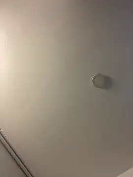 Princ3ssgabi online show from February 2025 12:05:01 AM