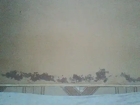 Naivegirrl online show from June 2026 09:15:02 AM