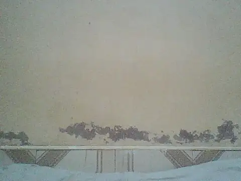 Naivegirrl online show from July 2026 10:43:02 AM