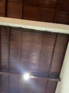 emiss  online show from December 2025 03:51:01 PM