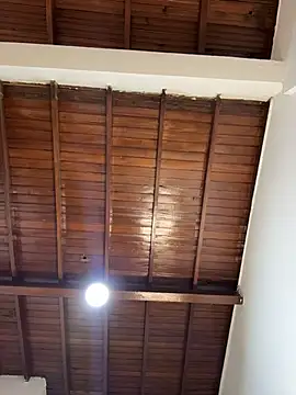 Snapshot of emiss_ chatting on February 2026 03:18:01 PM emiss online show from February 2026 03:18:01 PM