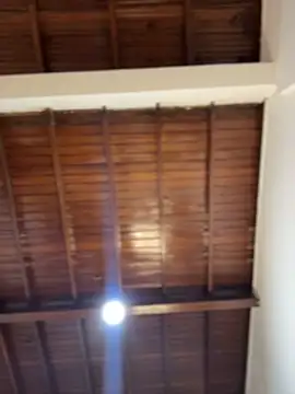 Snapshot of emiss_ chatting on February 2026 03:59:01 PM emiss online show from February 2026 03:59:01 PM