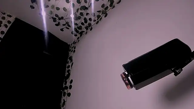 Snapshot of Young_laroi chatting on February 2025 08:12:02 AM Young laroi online show from February 2025 08:12:02 AM