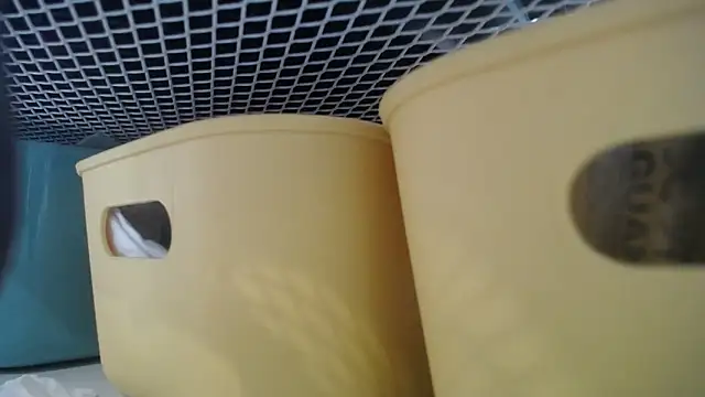 Snapshot of lovense_test04 chatting on February 2026 07:30:01 AM lovense test04 online show from February 2026 07:30:01 AM