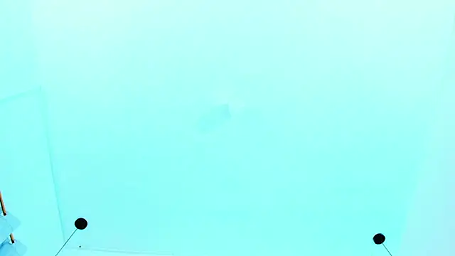 Emily Gil1 online show from January 2025 01:03:02 PM