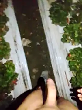 dfff125ff online show from November 2025 05:39:02 AM