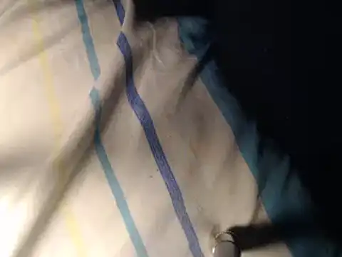 FleshlightFan online show from November 2025 03:54:01 PM