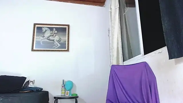 Trix fiore oficial online show from December 2025 11:58:01 PM