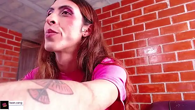 Trix fiore oficial online show from February 2026 08:32:02 PM