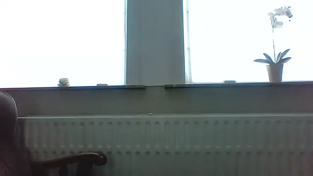 Snapshot of bertolini chatting on May 2026 04:59:02 PM bertolini online show from May 2026 04:59:02 PM