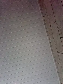 By Aninha online show from February 2026 10:27:02 AM