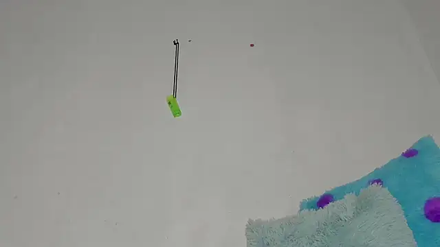 sebas rose online show from December 2024 12:44:01 AM