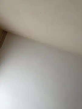 rpotktkkt online show from November 2025 09:42:01 AM