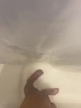 Snapshot of Joaquinp2023 chatting on December 2024 11:35:01 PM Joaquinp2023 online show from December 2024 11:35:01 PM