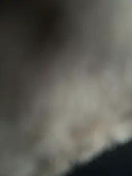 Snapshot of Joaquinp2023 chatting on January 2025 09:15:01 PM Joaquinp2023 online show from January 2025 09:15:01 PM