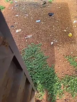 Black-mamba-madingo online show from April 2026 08:23:02 AM