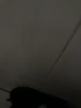 Black-mamba-madingo online show from April 2026 06:19:02 PM