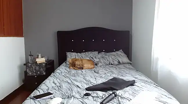 Emilia 1995 online show from February 2025 12:50:02 PM