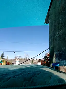 Snapshot of puak6666 chatting on September 2025 05:13:01 PM puak6666 online show from September 2025 05:13:01 PM