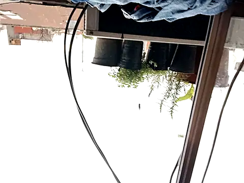 Snapshot of puak6666 chatting on September 2025 08:02:02 PM puak6666 online show from September 2025 08:02:02 PM