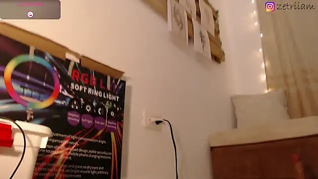 Snapshot of Zetrionn chatting on February 2025 06:28:01 AM Zetrionn online show from February 2025 06:28:01 AM