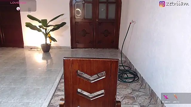 Snapshot of Zetrionn chatting on March 2025 02:18:02 AM Zetrionn online show from March 2025 02:18:02 AM