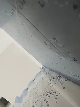 nicedick bro online show from April 2026 07:39:01 AM