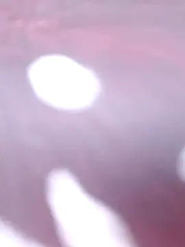 Priya Bong online show from December 2025 02:27:01 AM