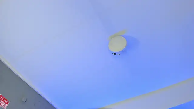 Snapshot of ArigyGomez chatting on November 2025 11:24:01 PM ArigyGomez online show from November 2025 11:24:01 PM