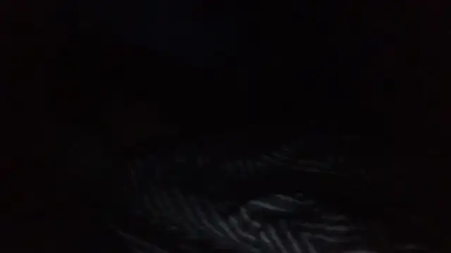 SHARPSkinhead online show from August 2026 02:10:02 AM