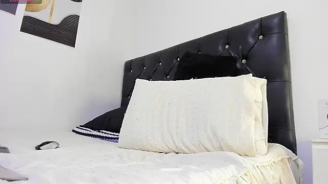 Snapshot of Sebastian-Dash chatting on November 2025 12:00:02 AM Sebastian-Dash online show from November 2025 12:00:02 AM