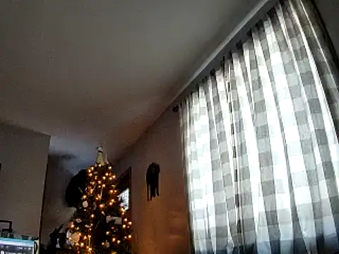 Seymour93 online show from January 2025 01:31:02 PM