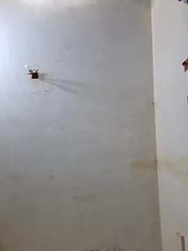 Derry Cooper online show from February 2026 06:55:02 PM