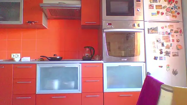 Snapshot of mira_robinsonnn chatting on September 2025 02:37:02 AM mira robinsonnn online show from September 2025 02:37:02 AM