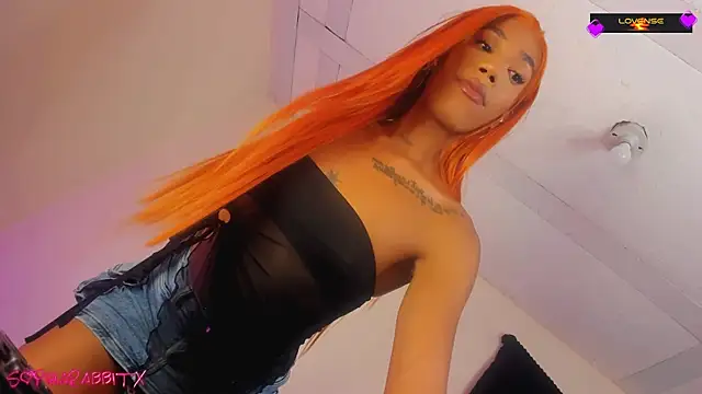 Snapshot of turabbitxx chatting on November 2025 08:03:01 AM turabbitxx online show from November 2025 08:03:01 AM