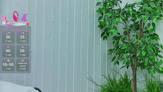 EmilyColle  online show from January 2026 07:52:02 PM