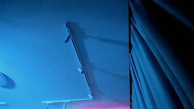 Ledy WWWII online show from December 2024 06:38:02 PM