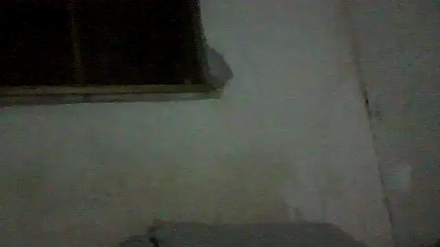 Snapshot of PAUBRASILEIRORJ chatting on July 2026 01:56:01 AM PAUBRASILEIRORJ online show from July 2026 01:56:01 AM