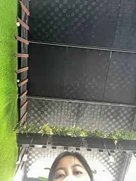 Lami Mi online show from March 2026 06:41:02 AM