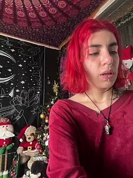 Snapshot of _Artemisa_X chatting on December 2024 05:00:01 PM Artemisa X online show from December 2024 05:00:01 PM