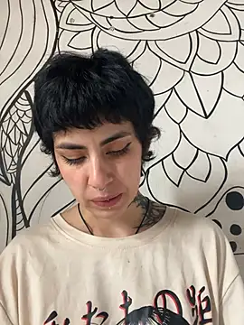  Artemisa X online show from April 2026 04:21:01 PM