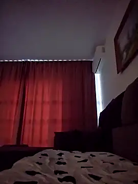 Snapshot of denisxlRo chatting on December 2024 11:29:02 AM denisxlRo online show from December 2024 11:29:02 AM